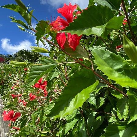 Locations Morne Aux Vents Apartamento Fond Boucher Exterior foto