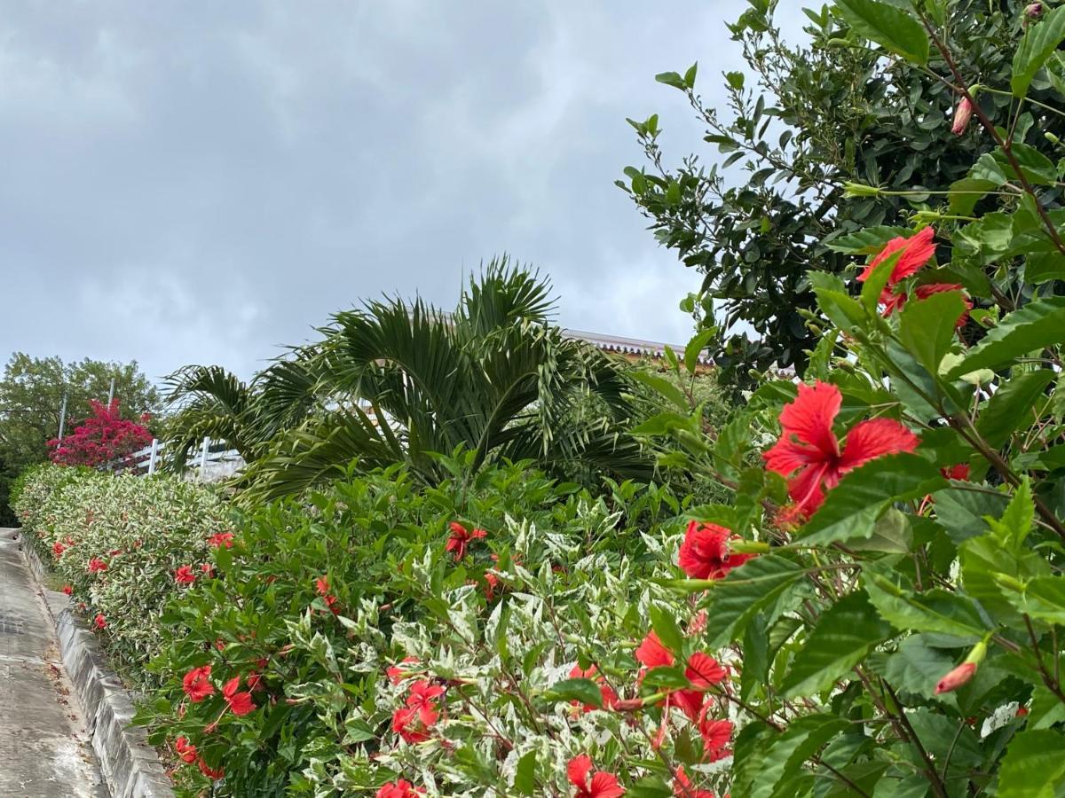 Locations Morne Aux Vents Apartamento Fond Boucher Exterior foto